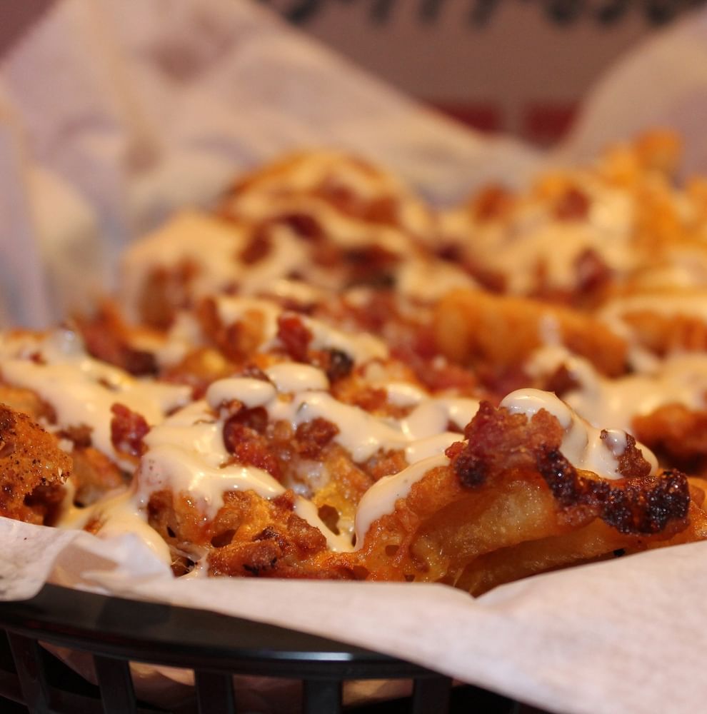 Loaded Bacon Cheese Fries