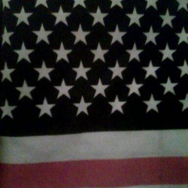 United Painter's Indy Logo