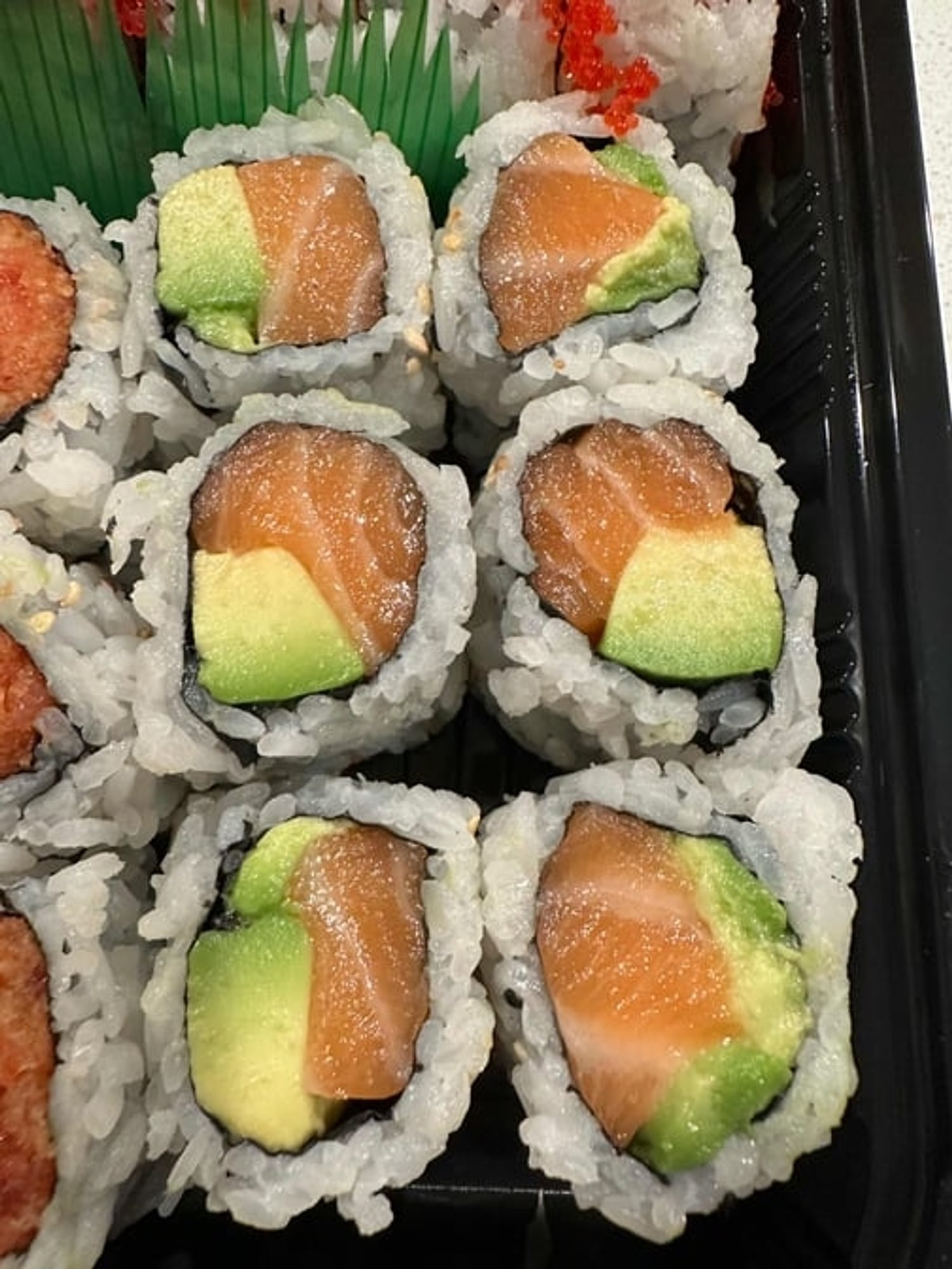Salmon Avocado Roll