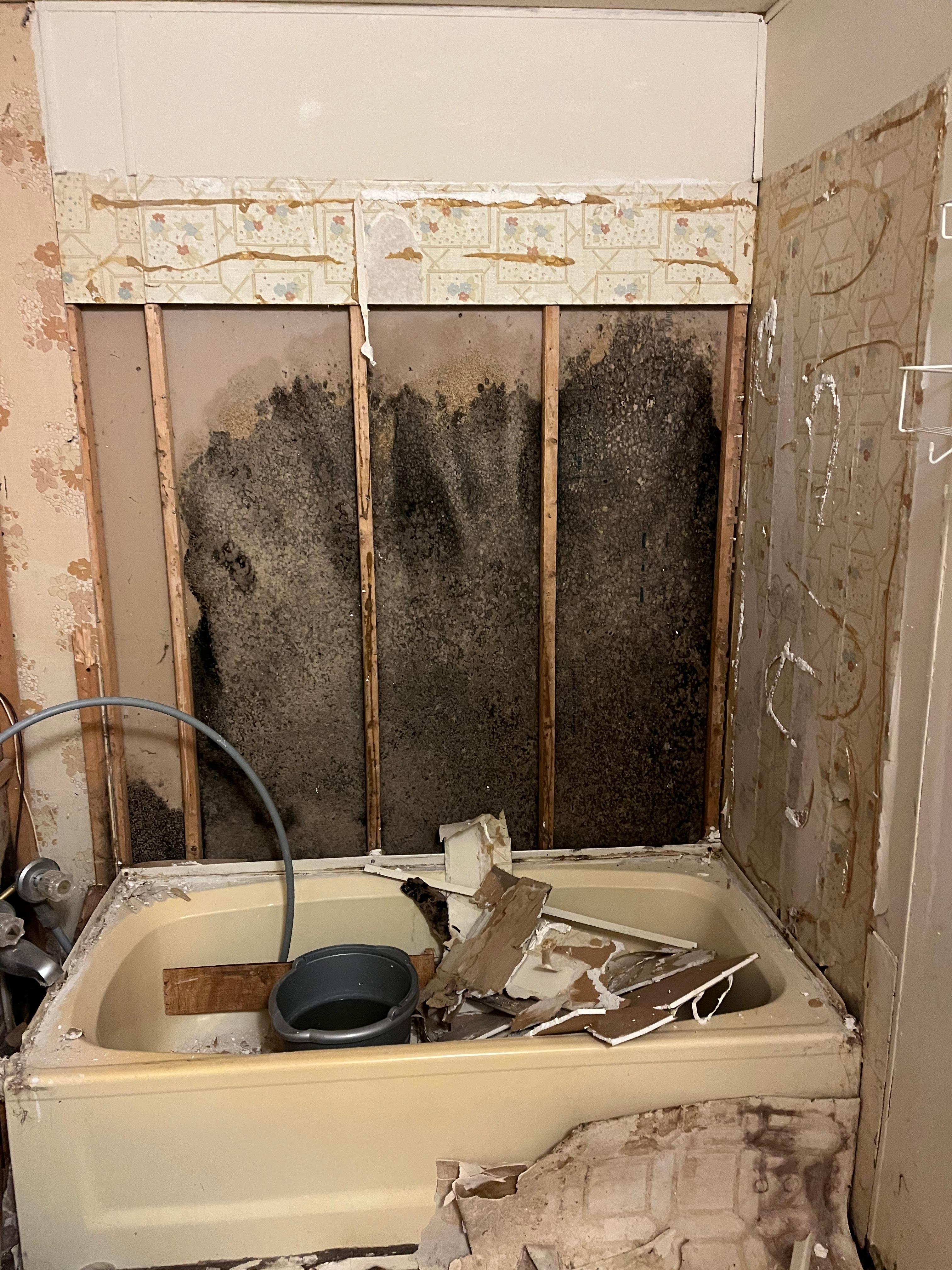 A Touch of Anne Restoration & Cleaning Solutions Image