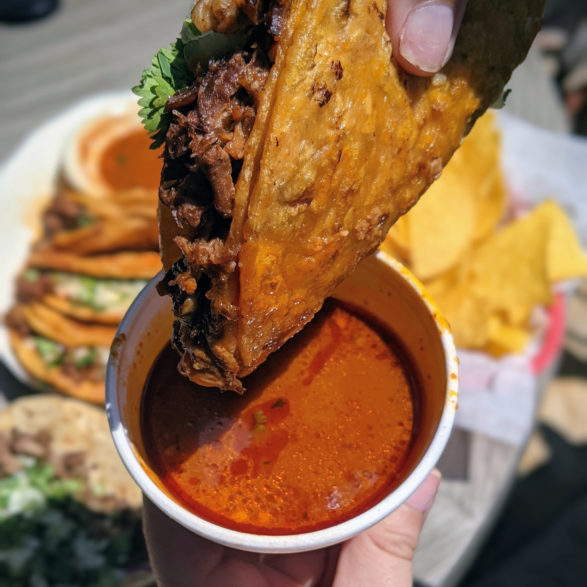 Birria Taco