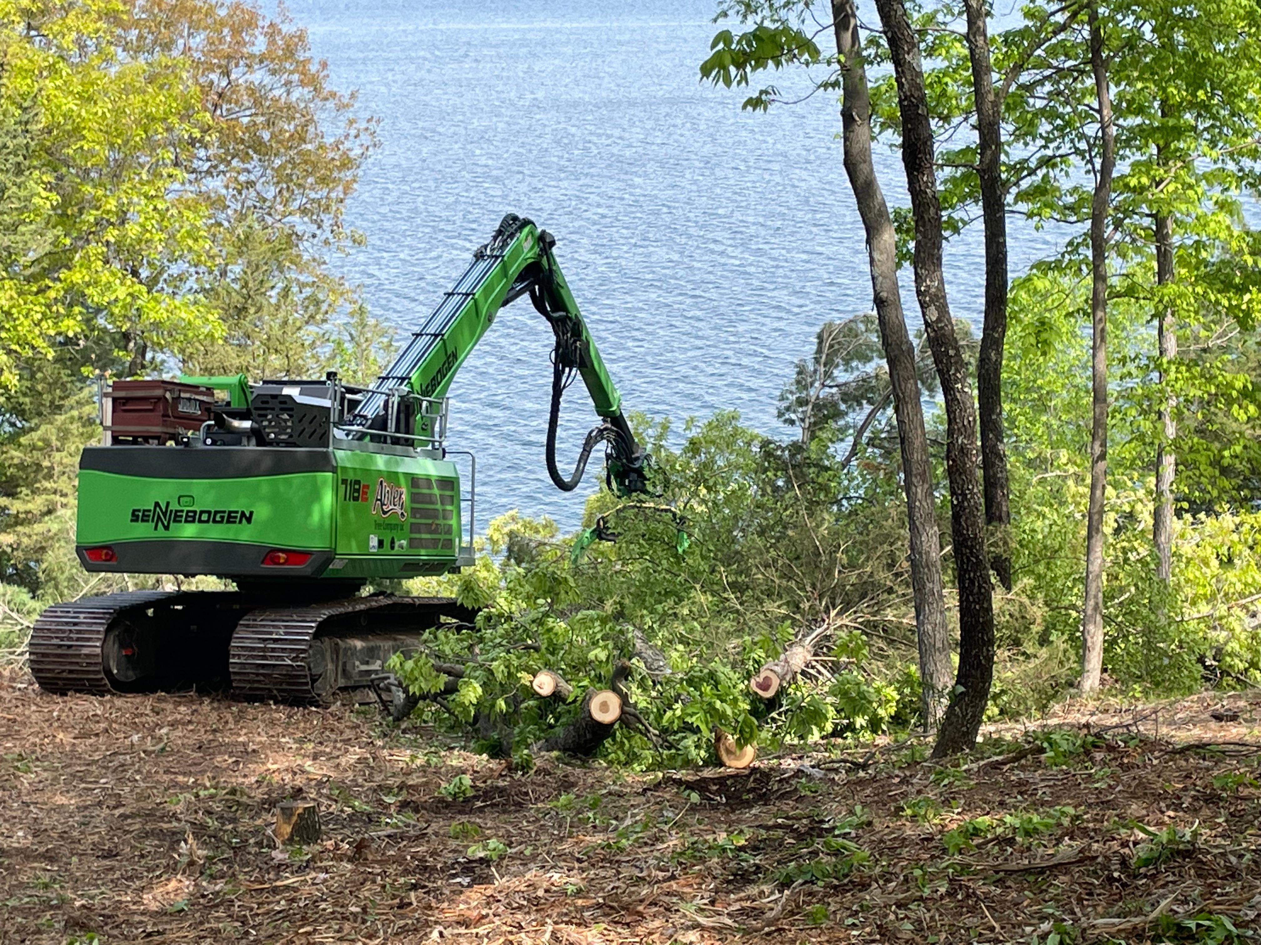 Abler Tree Company LLC Image