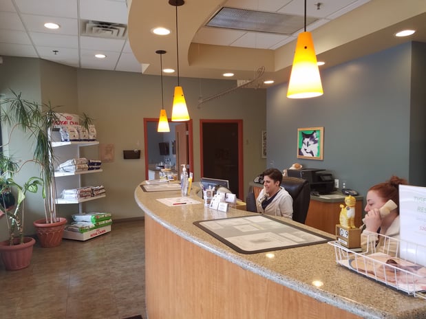 Images Cat Care PC of Rochester Hills
