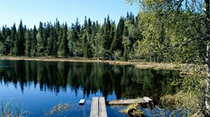Foto de Water Processing Sweden AB