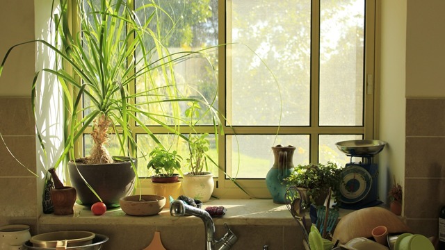 Gallery thumbnail