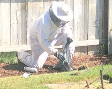 Dewey Pest & Termite Control Image