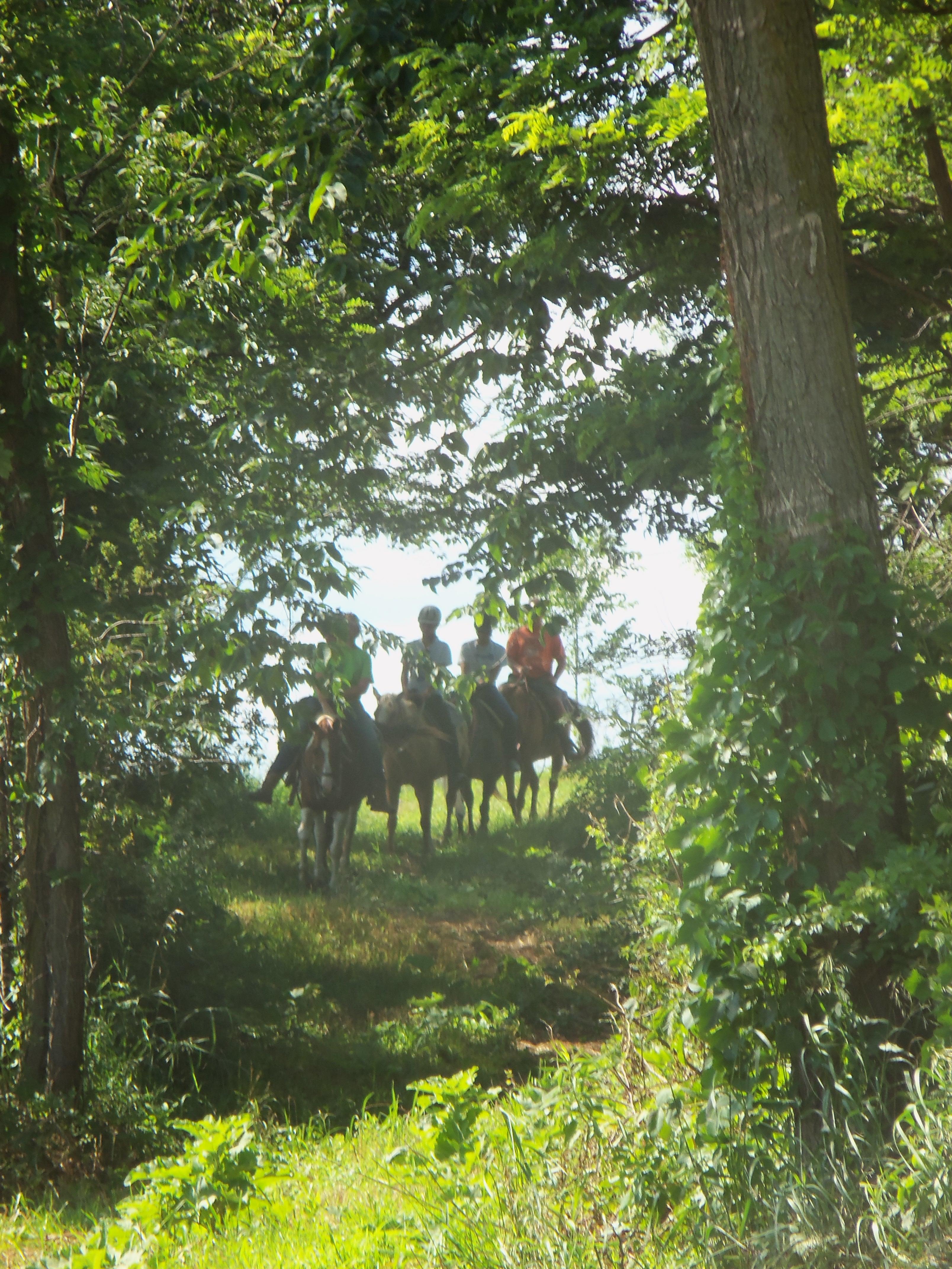 Drafty Acres Riding Stable Logo