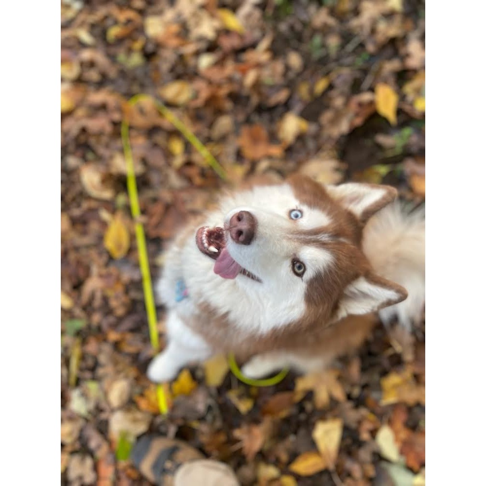 Gallery thumbnail
