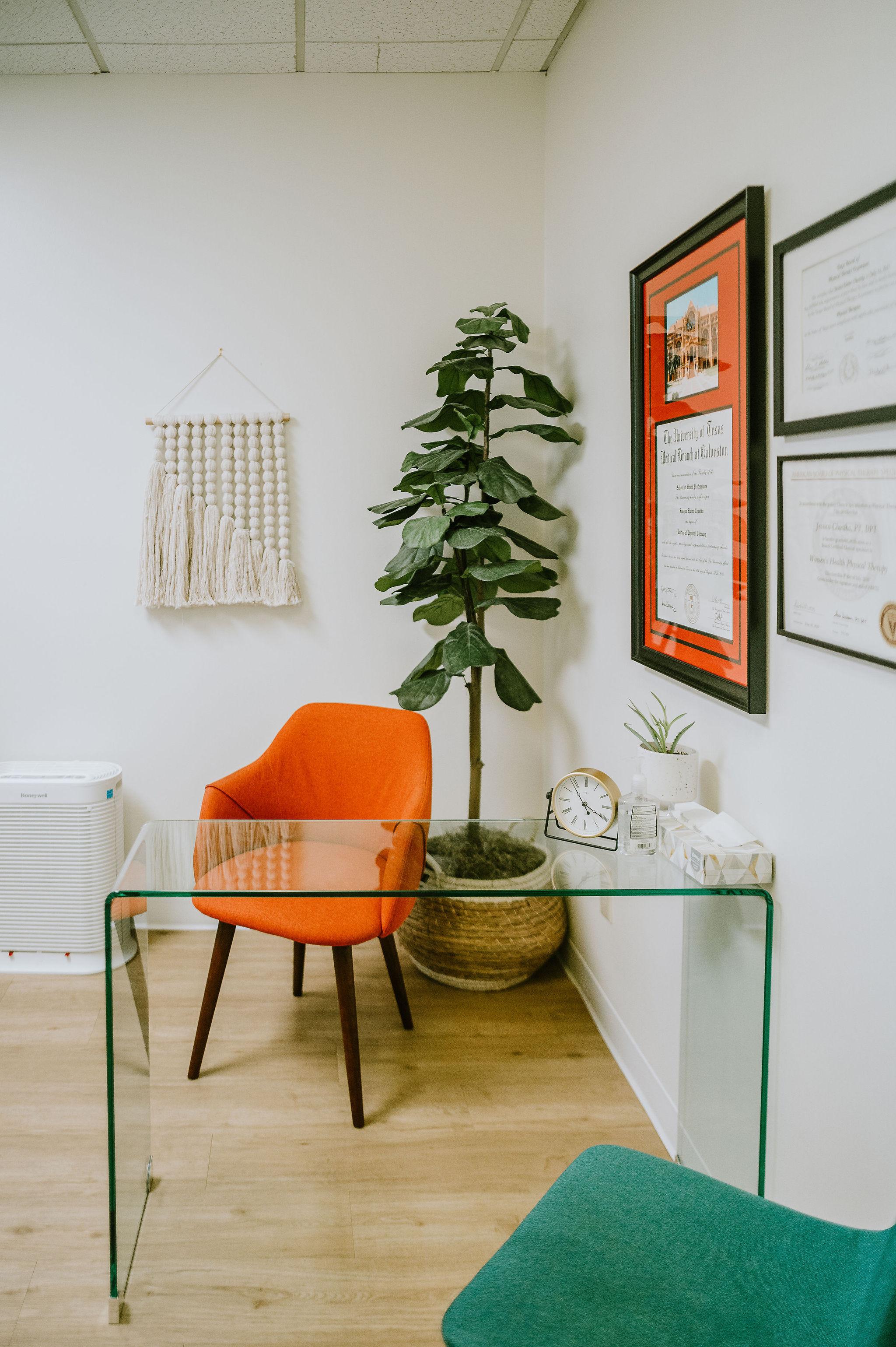 Lady Bird Physical Therapy Image