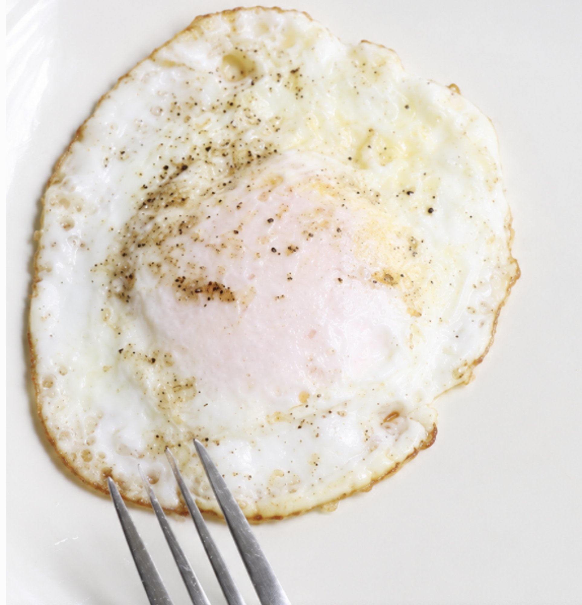 S/O (1) Egg OE
