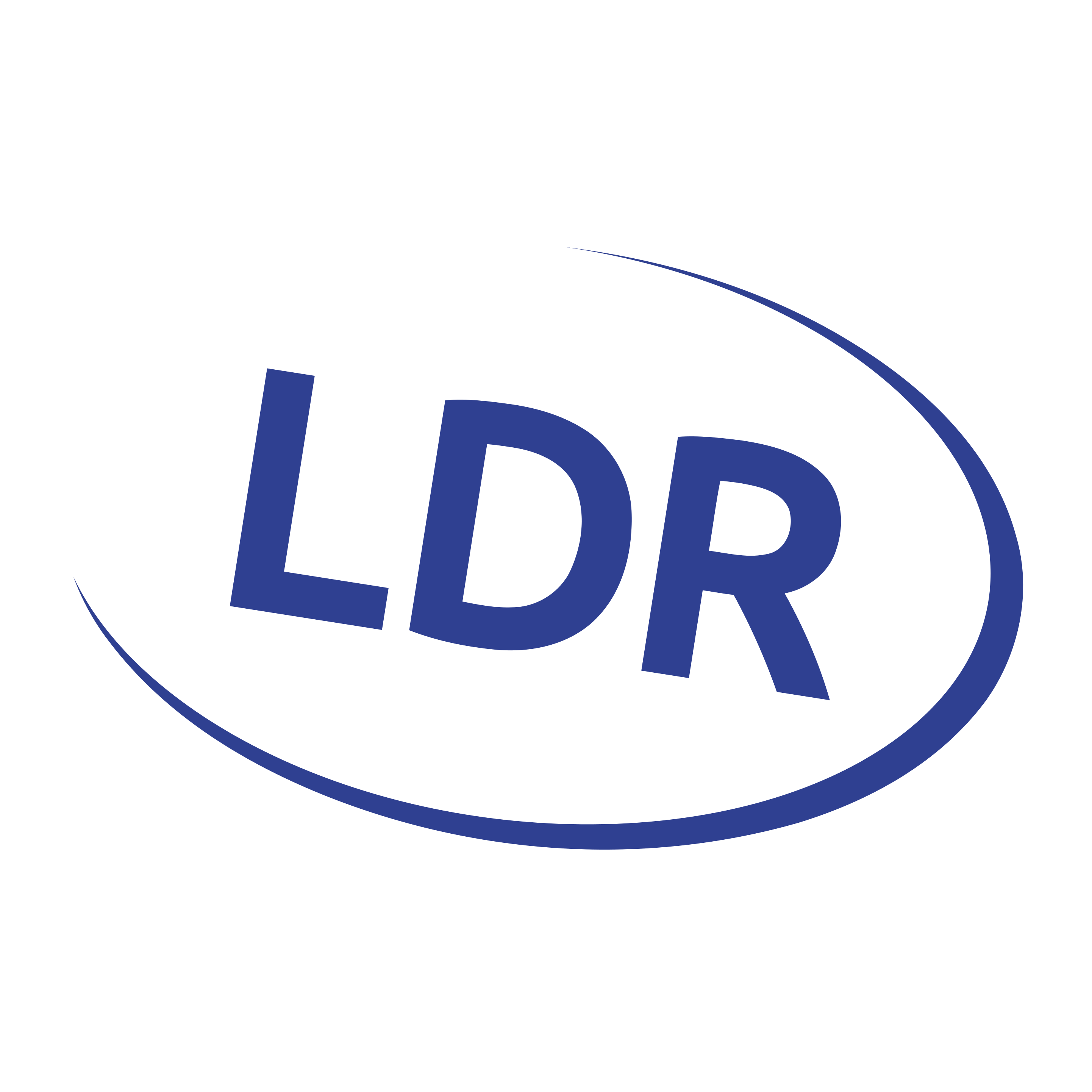 LDR Web Design Agency Logo