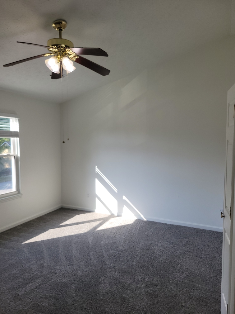 The Brush Bros Image