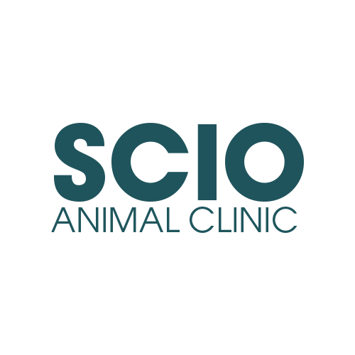 Scio Animal Clinic Logo