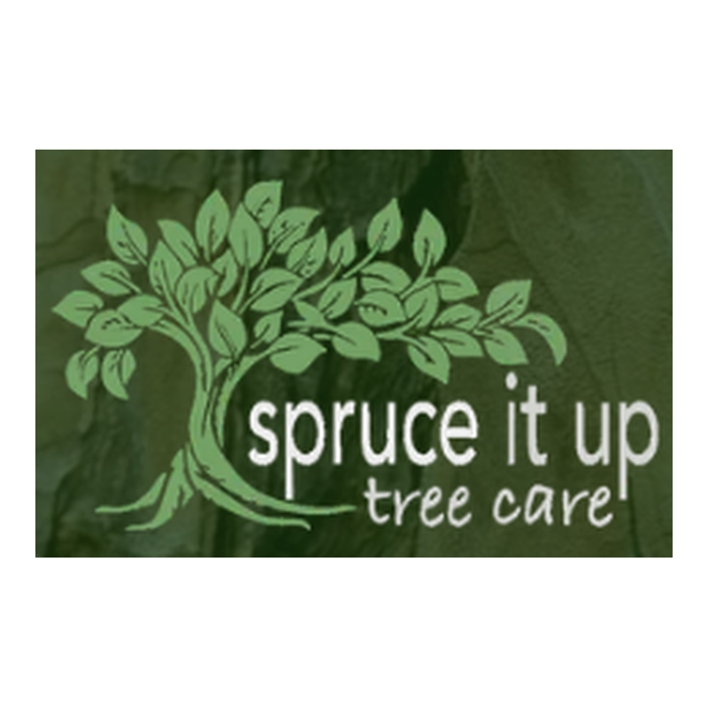 Spruce It Up Tree Care