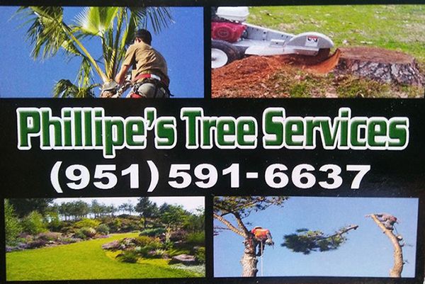 Phillipe's Tree Trimming & Hauling Service Photo