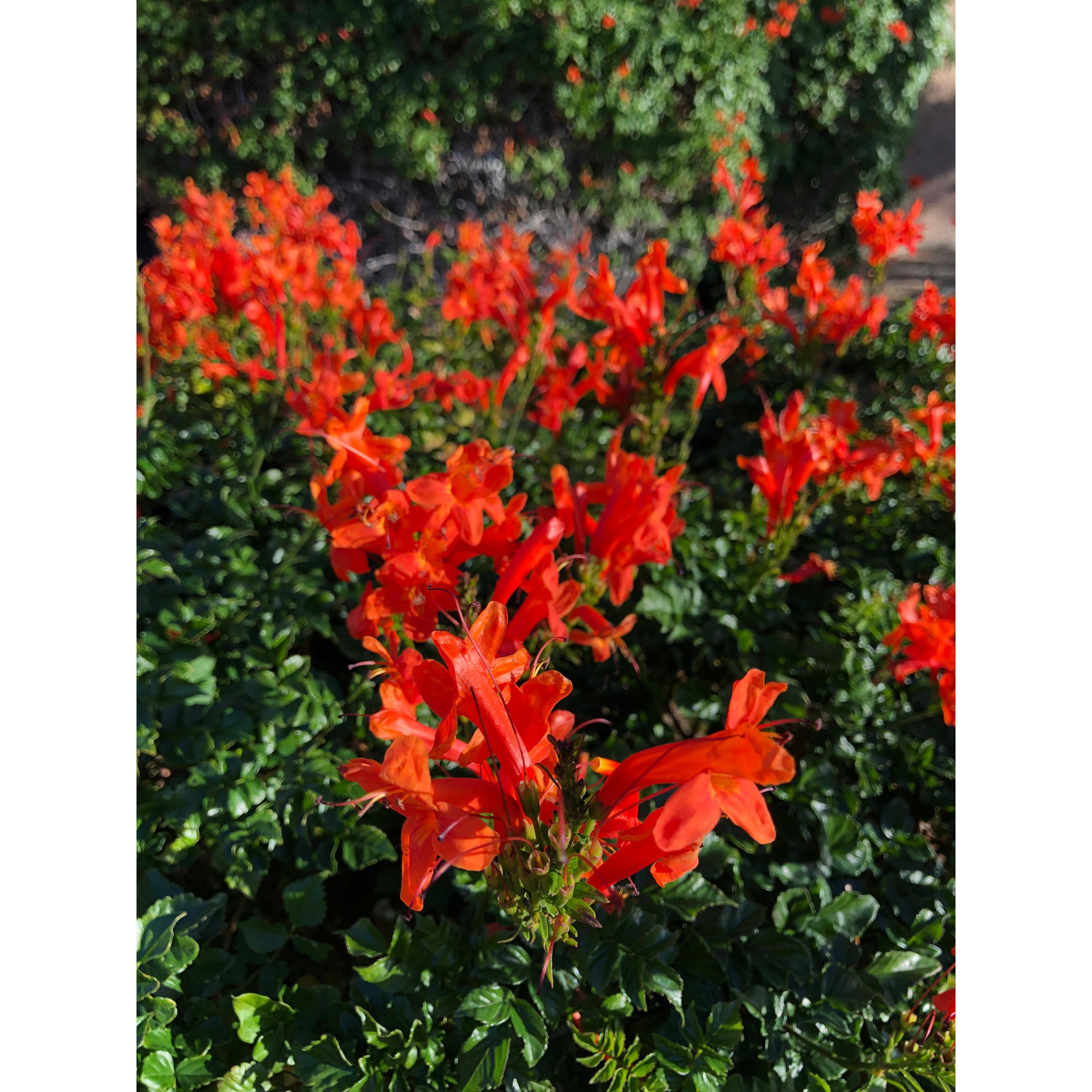 Moller’s Garden Center Image