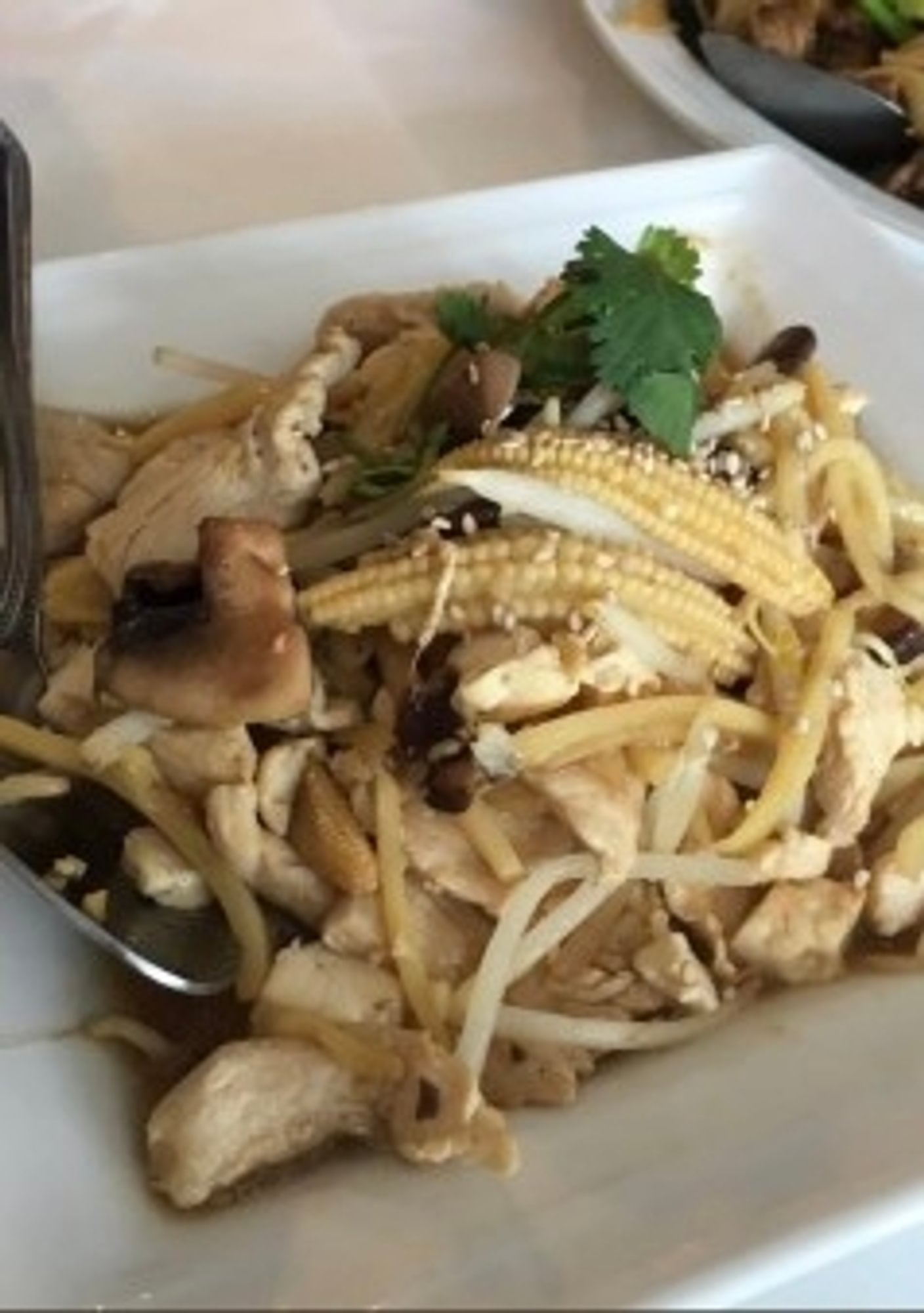 Mushroom Mountain Stir Fry