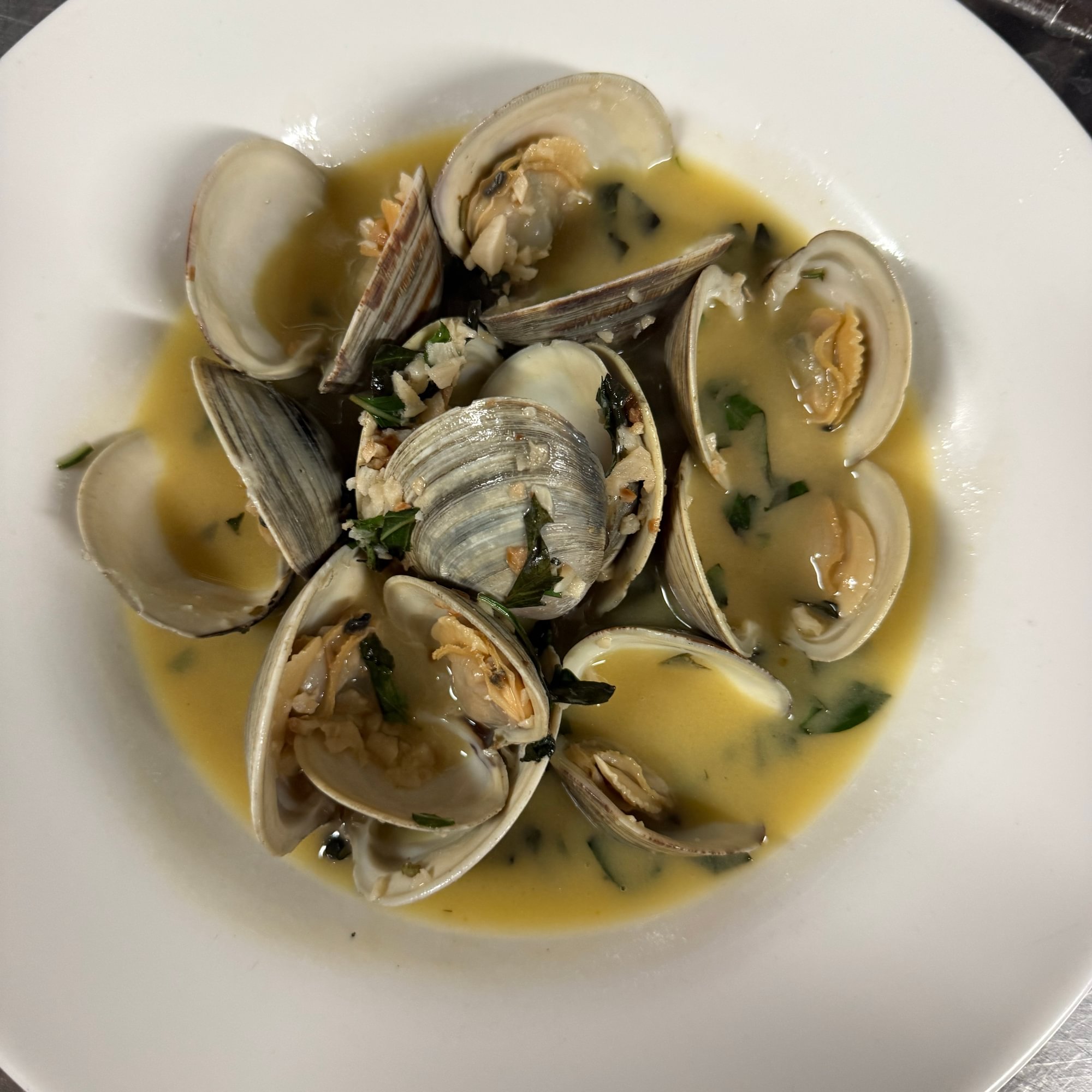 Little Neck Clams