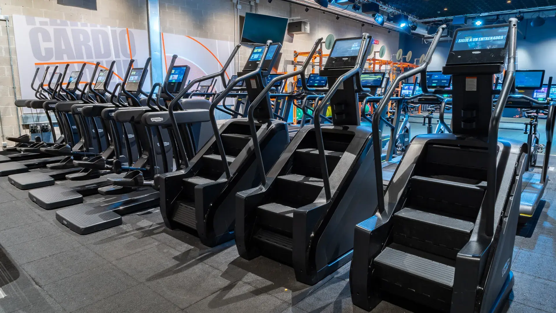 Galería en miniatura