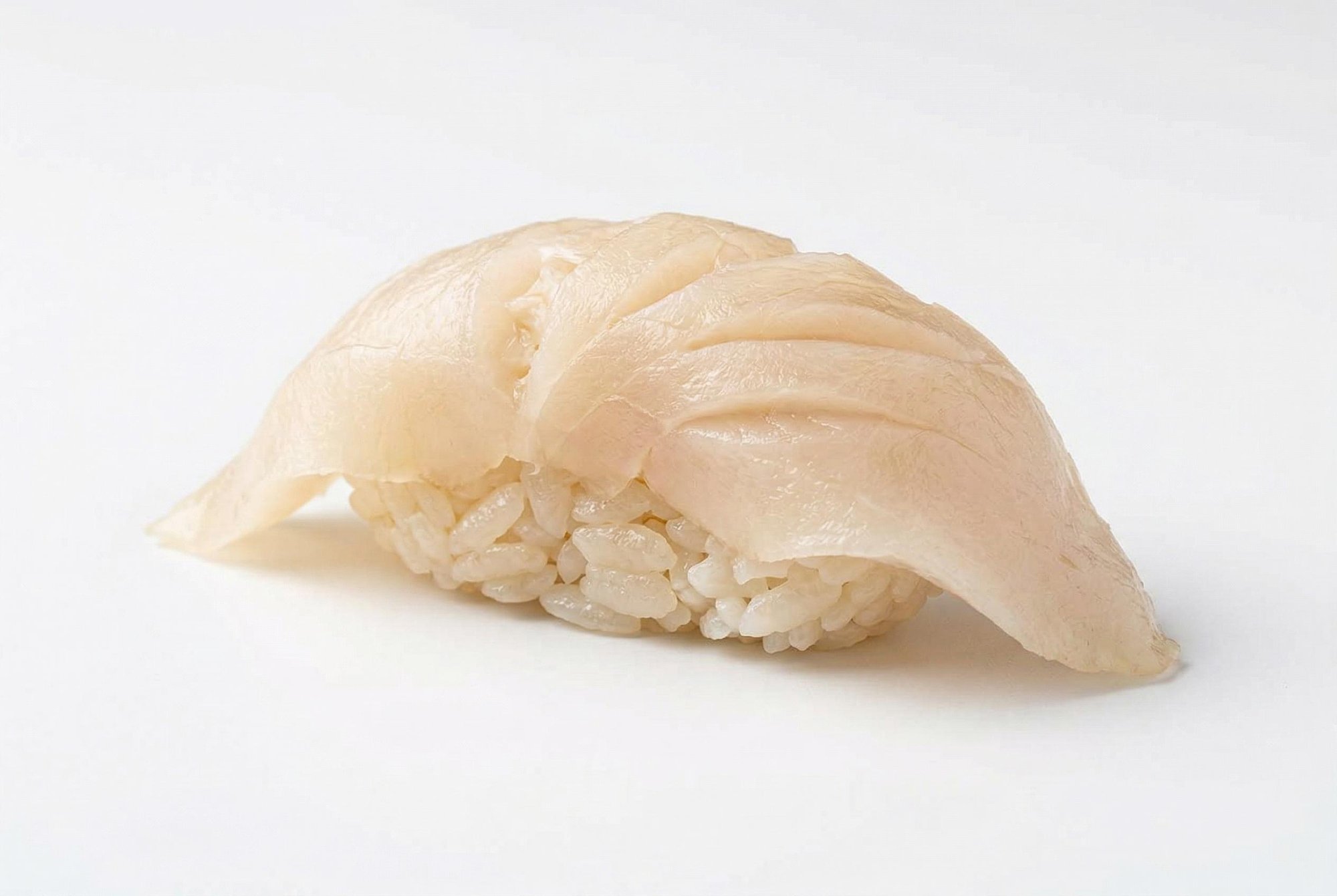 Conch