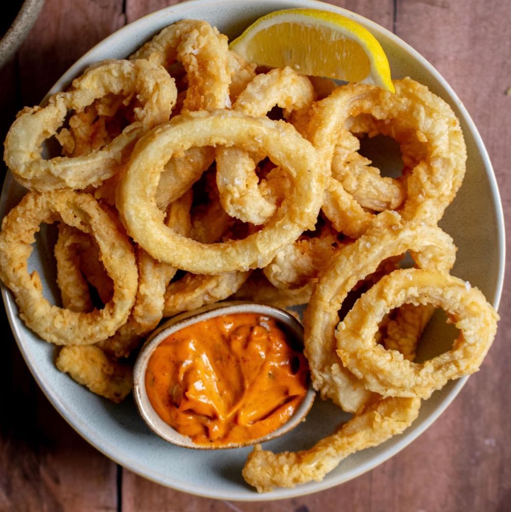 Fried Calamari