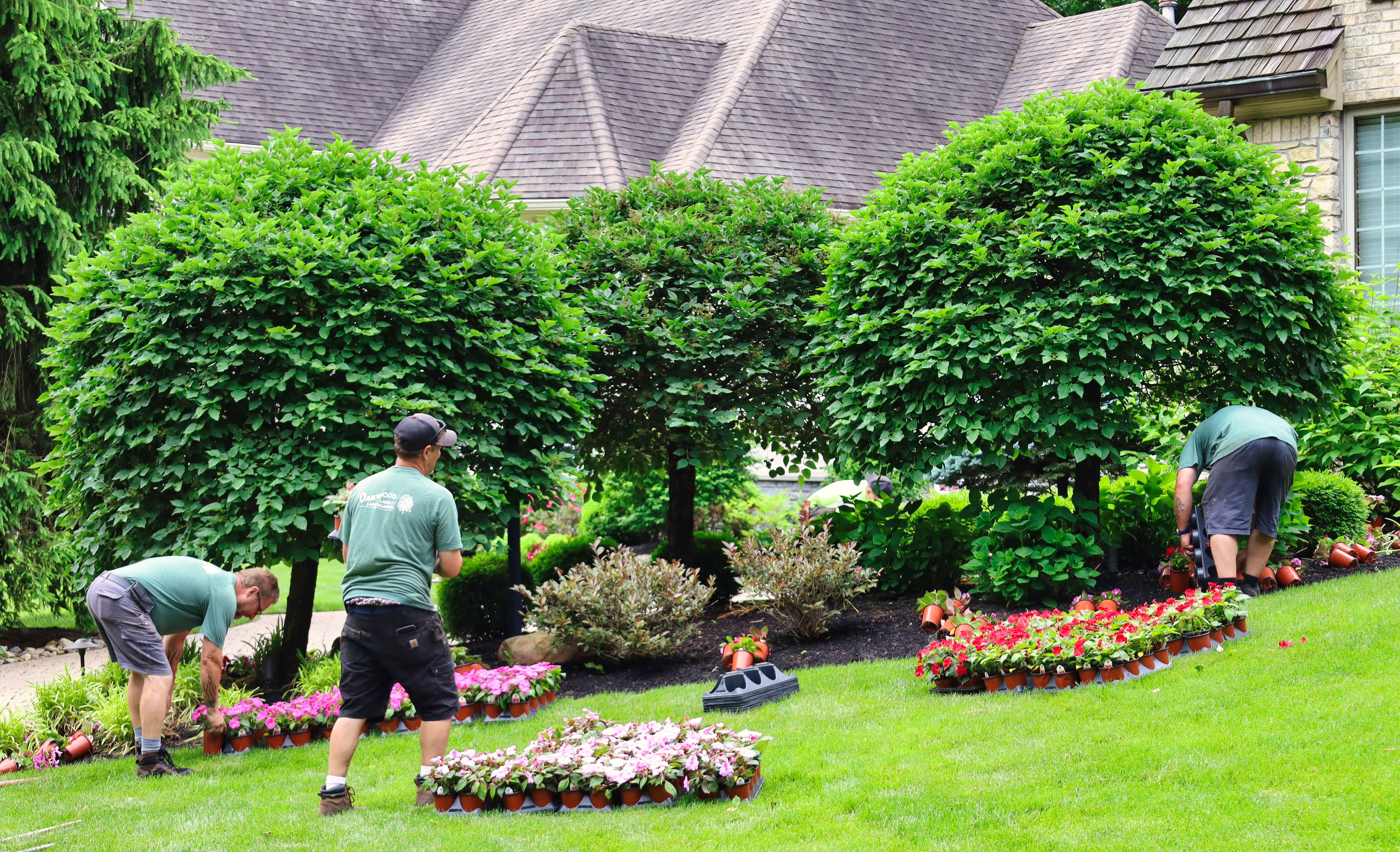 Oakwood Lawn & Landscaping Image