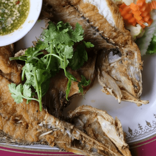 Red Snapper