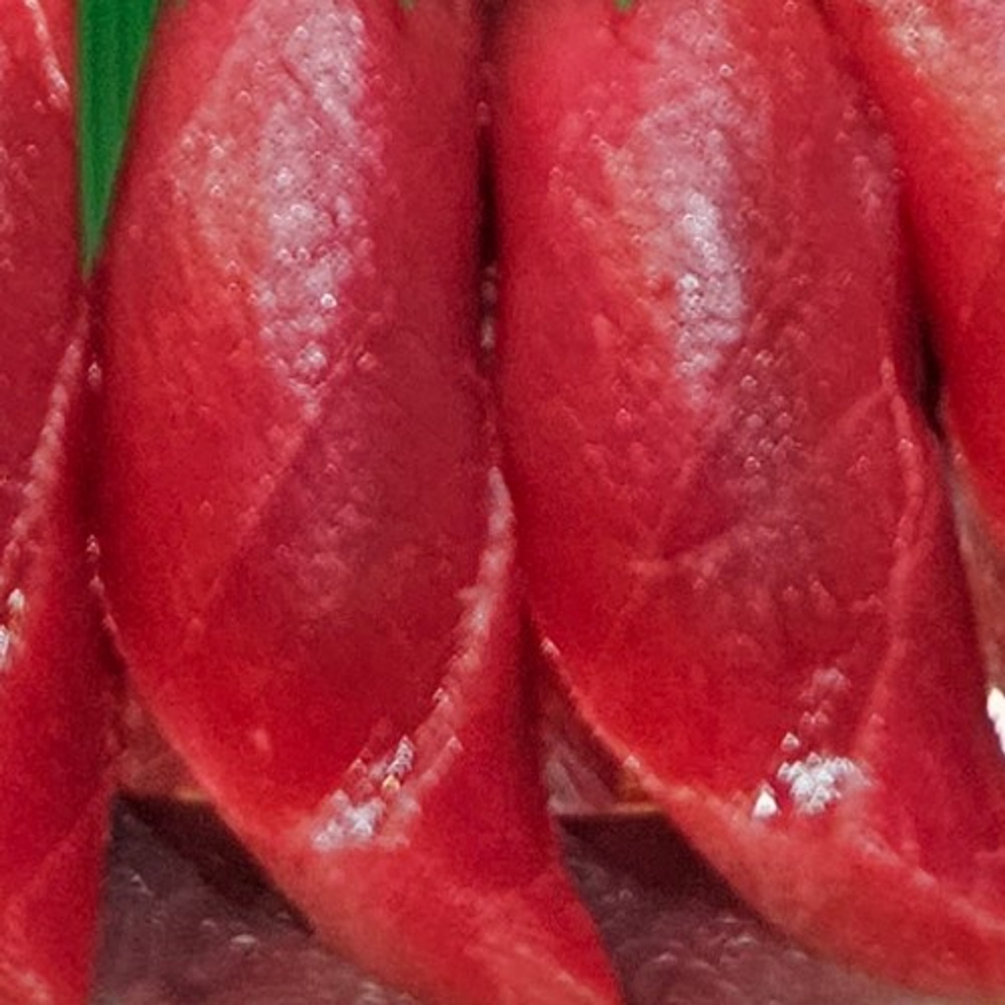 Maguro (N)