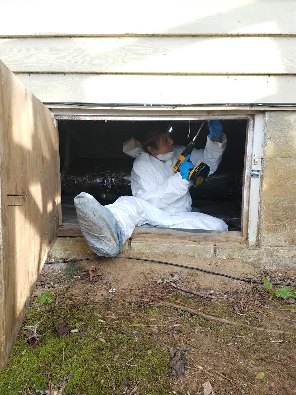 Carter Electrical Contractors And Security, Inc Logo