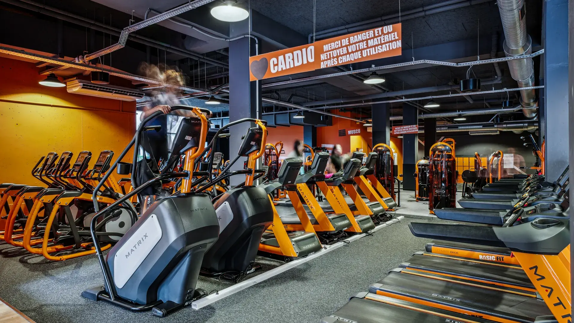 Miniature de la galerie