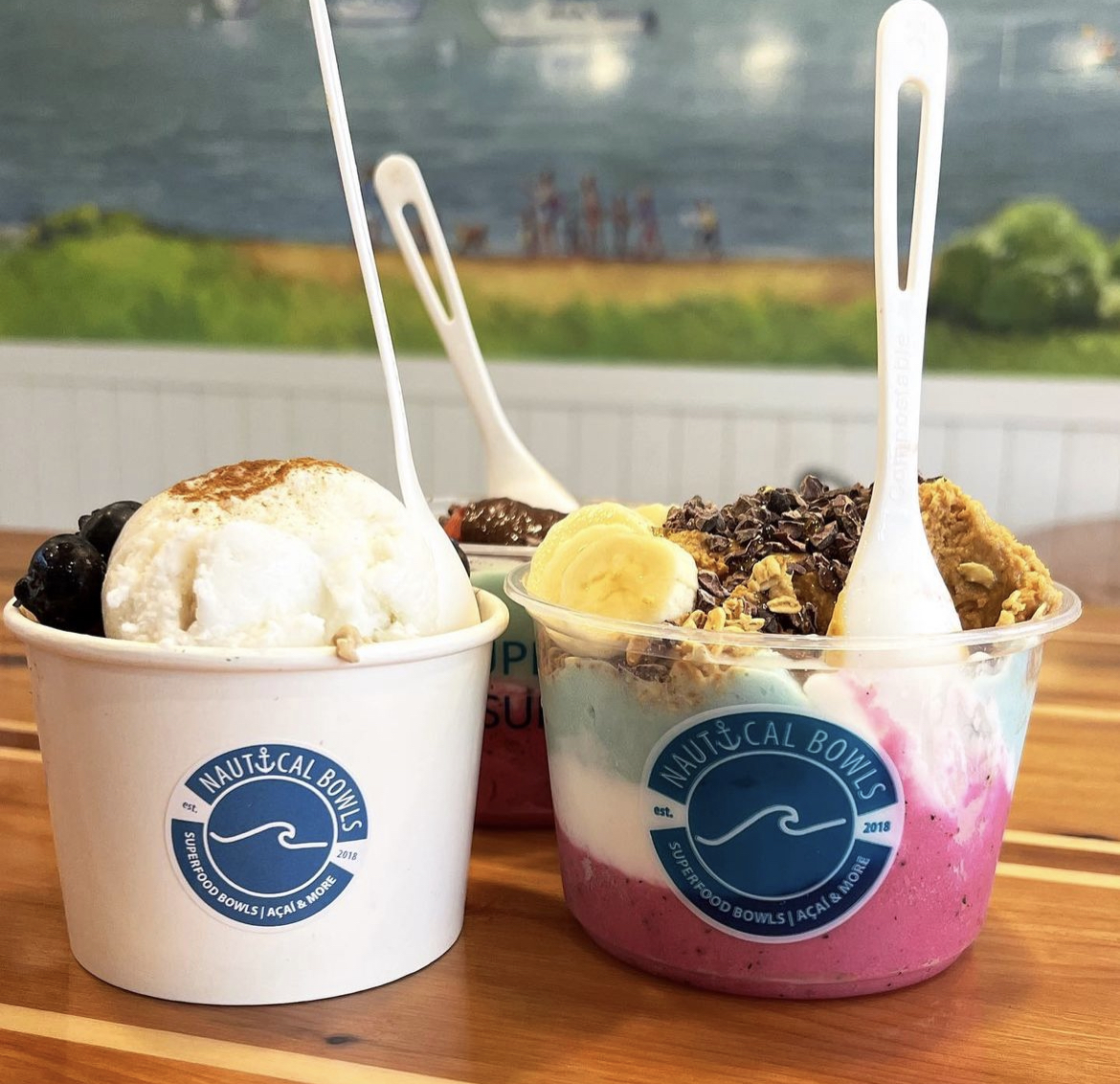 Nautical Bowls Image