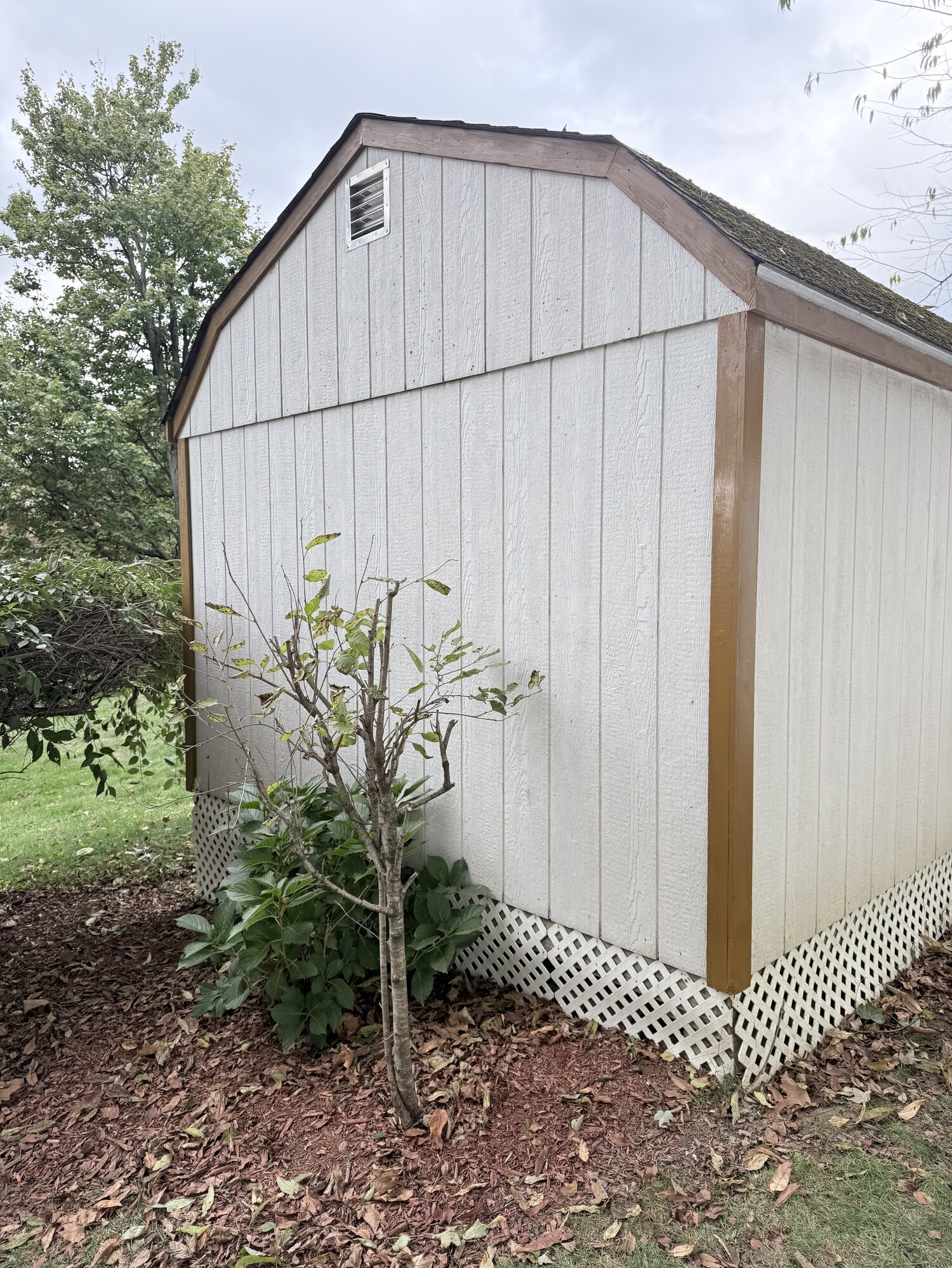 Ready hands Services Image