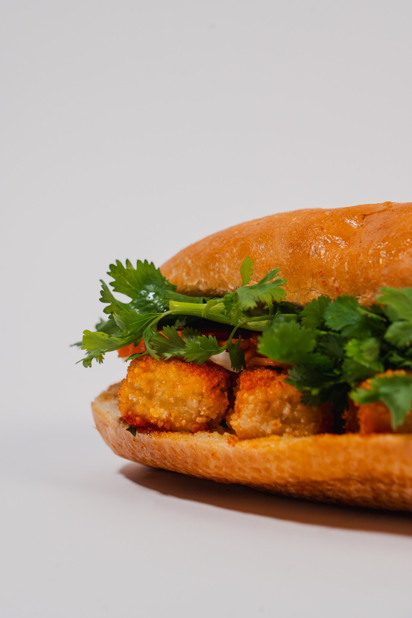 Fried Tofu