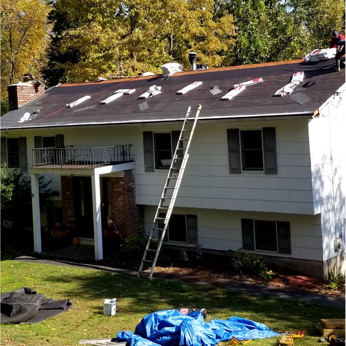 L Pro Painter and Carpenter Image