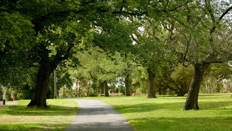 Crop Tops Tree Trimming & Lawn Care SVCS Image