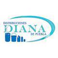 Distribuciones Diana De Puebla