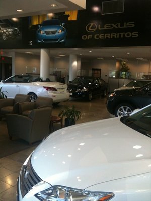 Lexus of Cerritos Photo