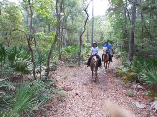 Trail Horseback Rides