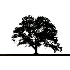 Pusateri Brothers Tree &amp; Landscaping Service Logo