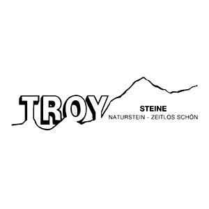 Troy Steine Logo