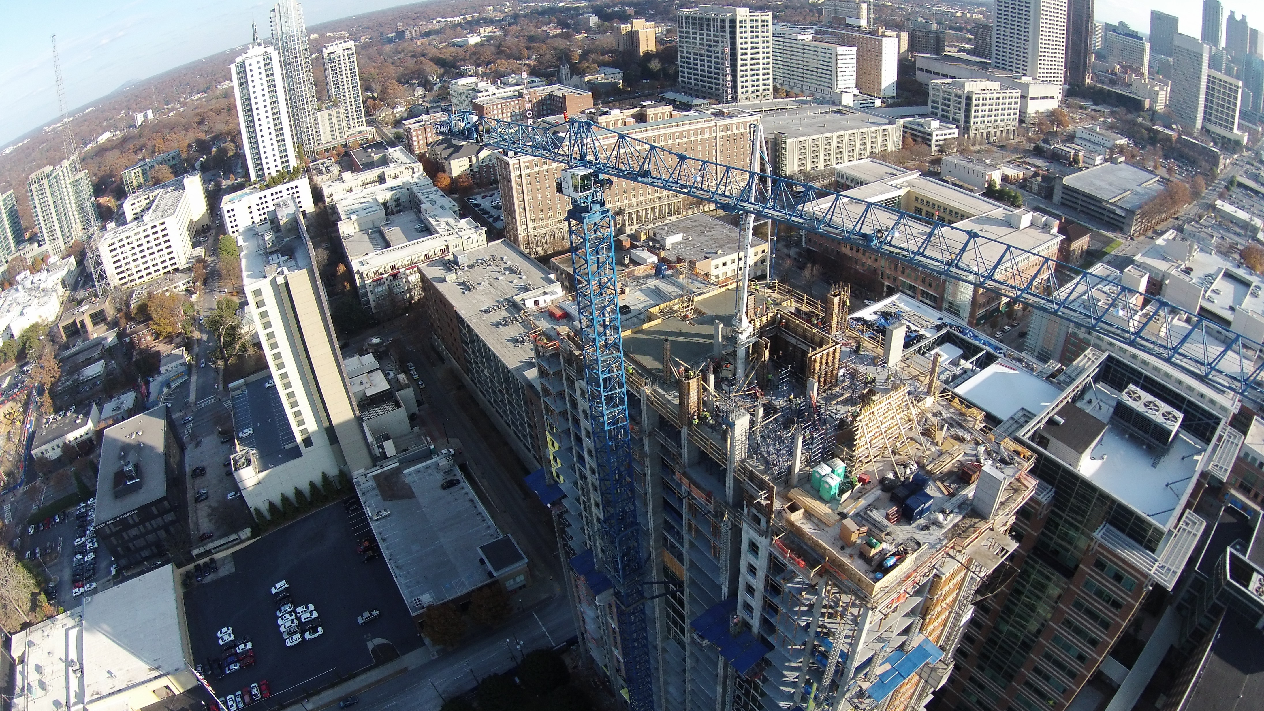 Blue Hat Crane Photo