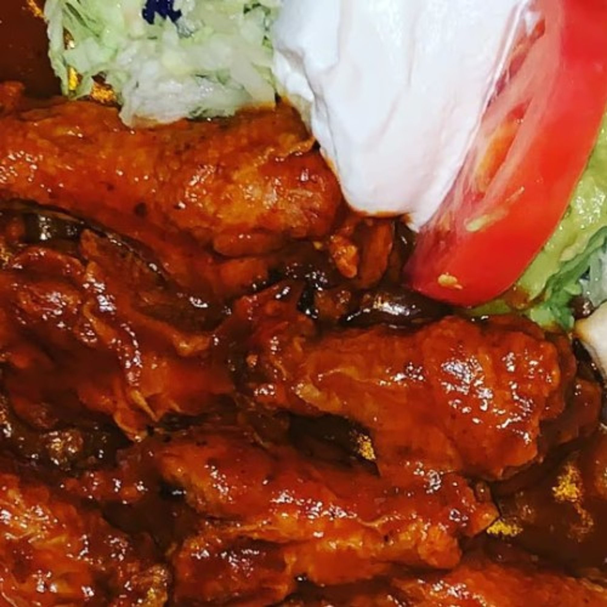 Tortuga's Wings