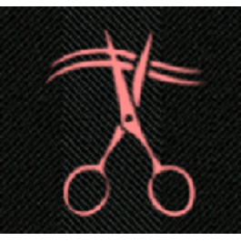 Tracy and Company Hair Designe Logo