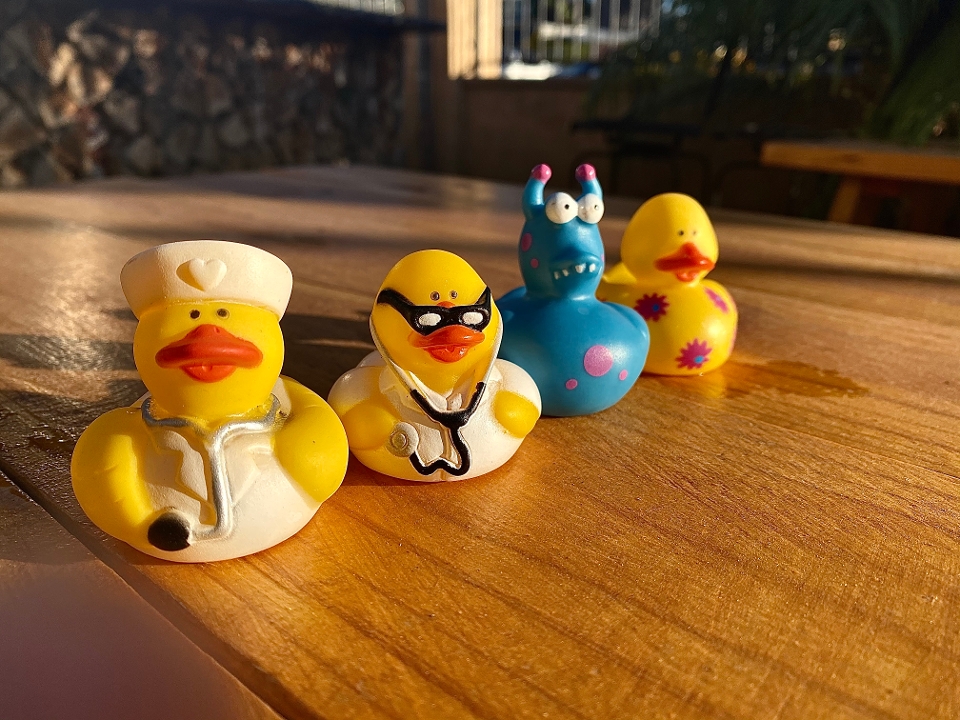 Ducky