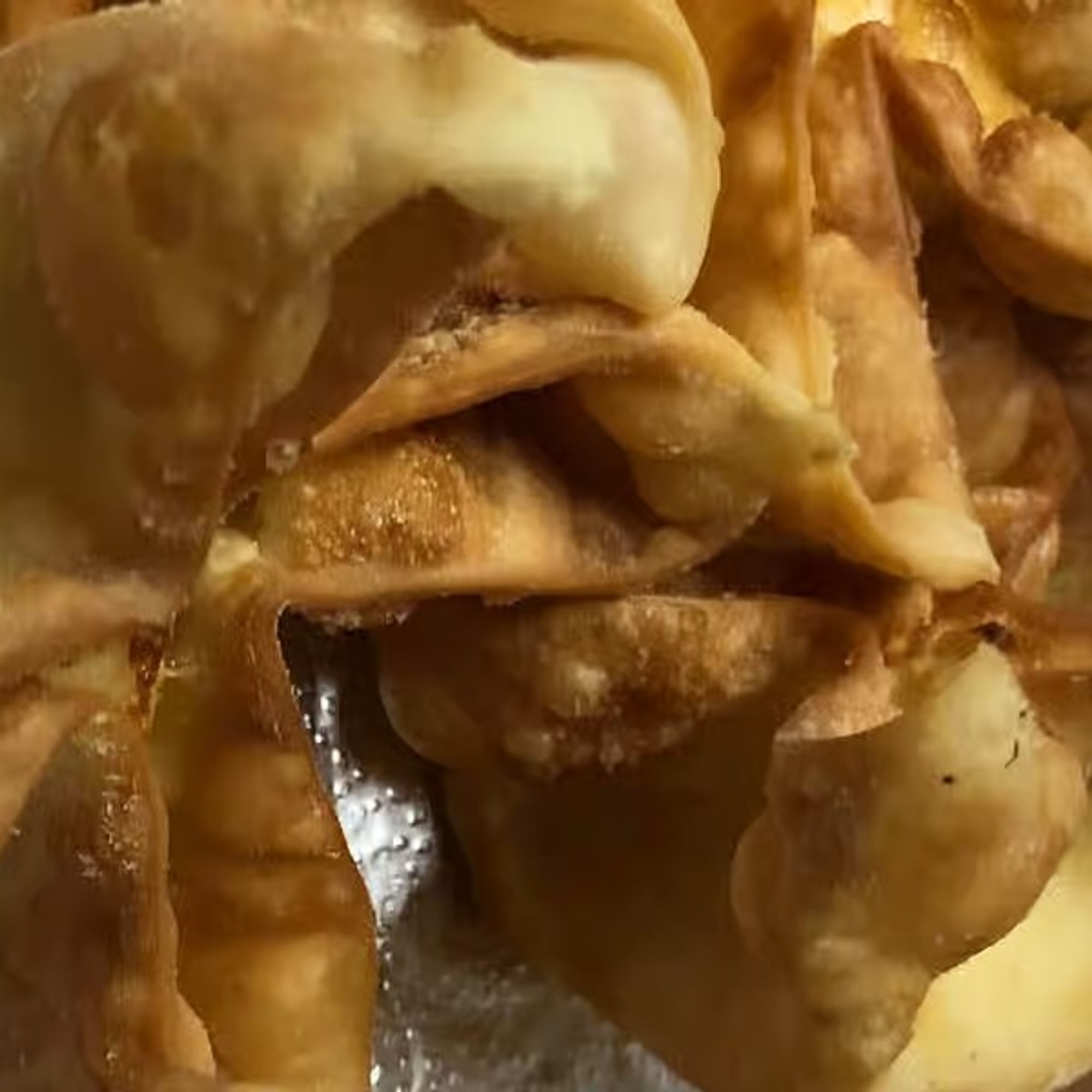 Cream Cheese Wonton
