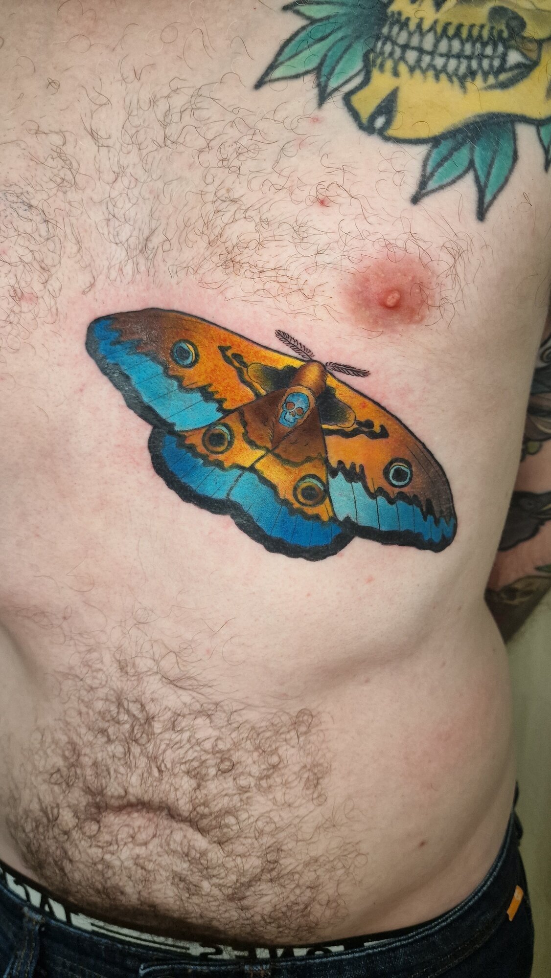 Miniature de la galerie