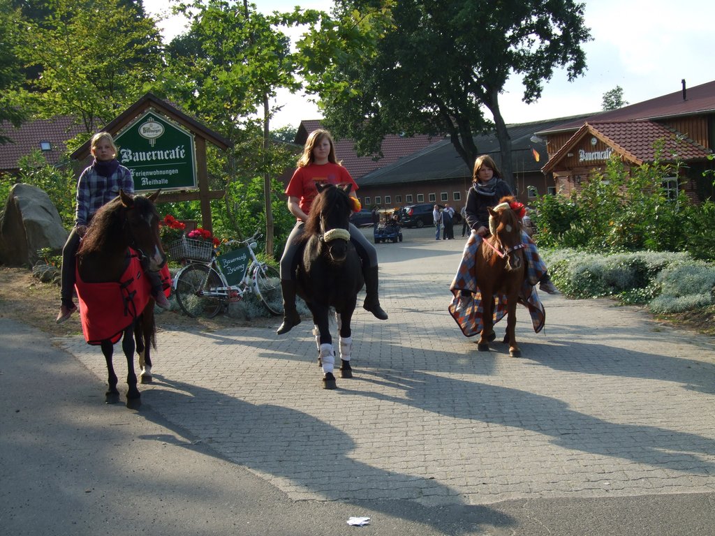 Bild der Ferienhof Brüning
