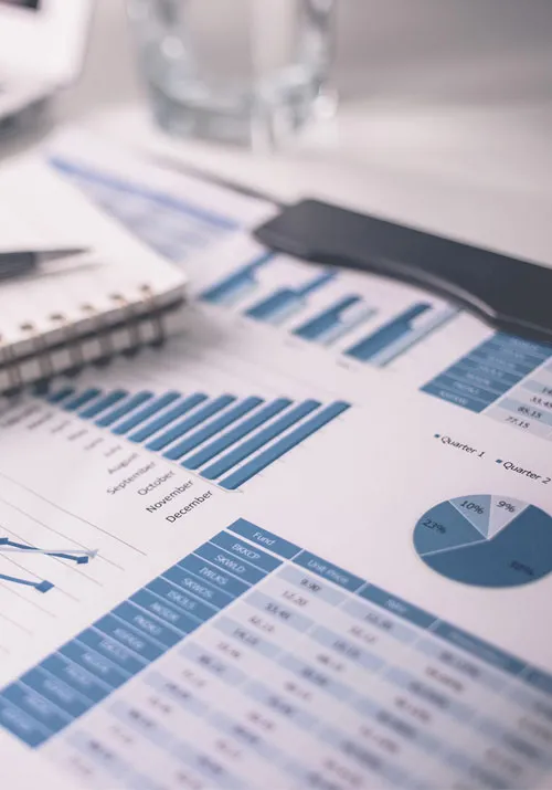 Business Formation Law