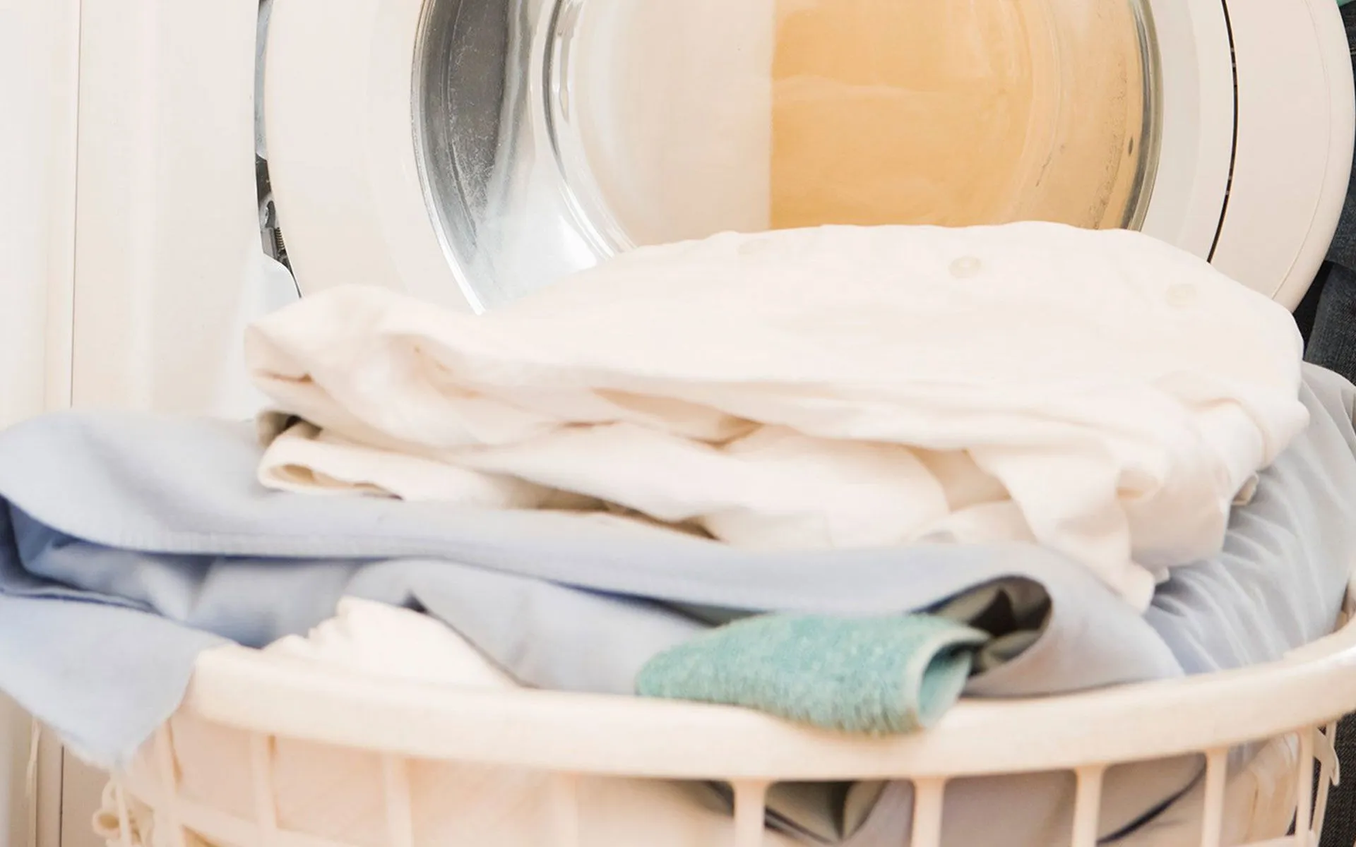 Housekeeping and Cleaning