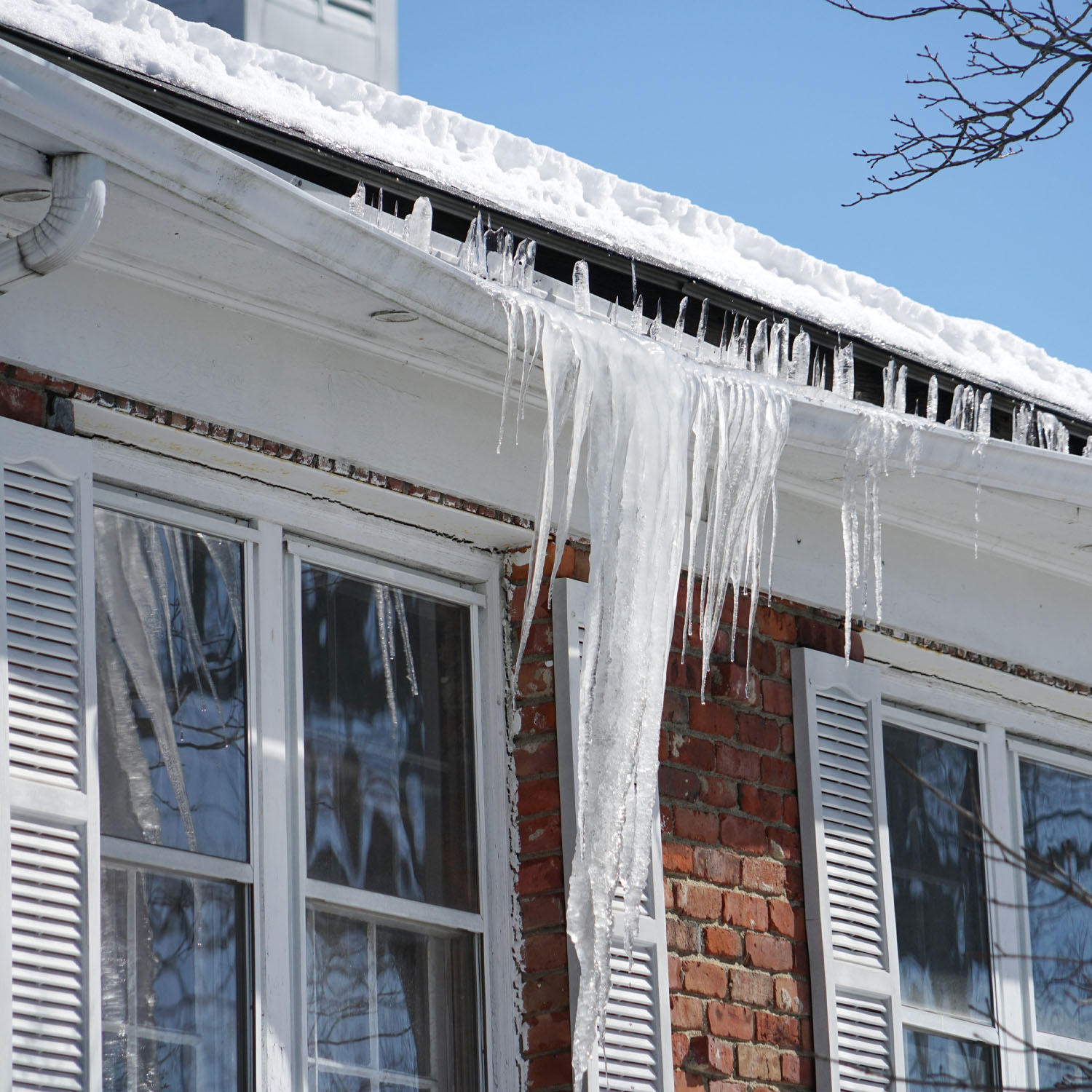 Window Hero Charlotte Image